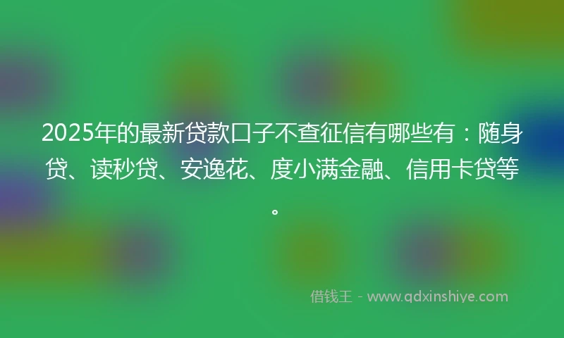 2025年的最新贷款口子不查征信有哪些有：随身贷、读秒贷、安逸花、度小满金融、信用卡贷等。