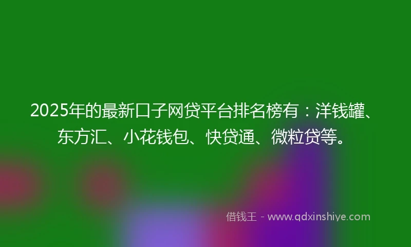 2025年的最新口子网贷平台排名榜有：洋钱罐、东方汇、小花钱包、快贷通、微粒贷等。