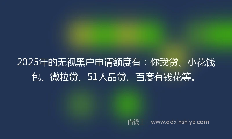2025年的无视黑户申请额度有:你我贷、小花钱包、微粒贷、51人品贷、百度有钱花等。