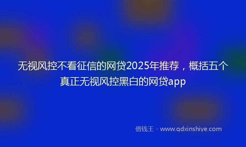 无视风控不看征信的网贷2025年推荐，概括五个真正无视风控黑白的网贷app