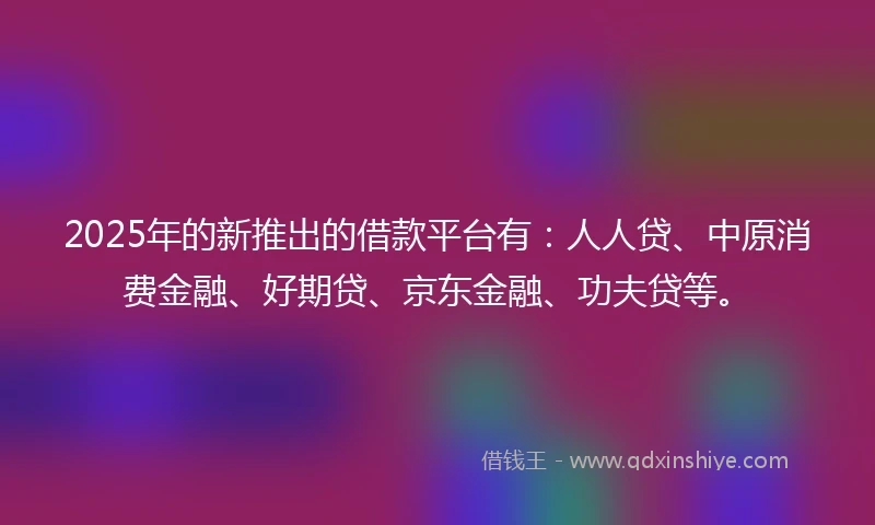 2025年的新推出的借款平台有：人人贷、中原消费金融、好期贷、京东金融、功夫贷等。