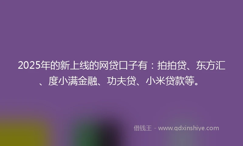 2025年的新上线的网贷口子有：拍拍贷、东方汇、度小满金融、功夫贷、小米贷款等。