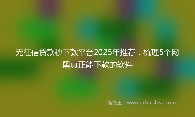 无征信贷款秒下款平台2025年推荐，梳理5个网黑真正能下款的软件