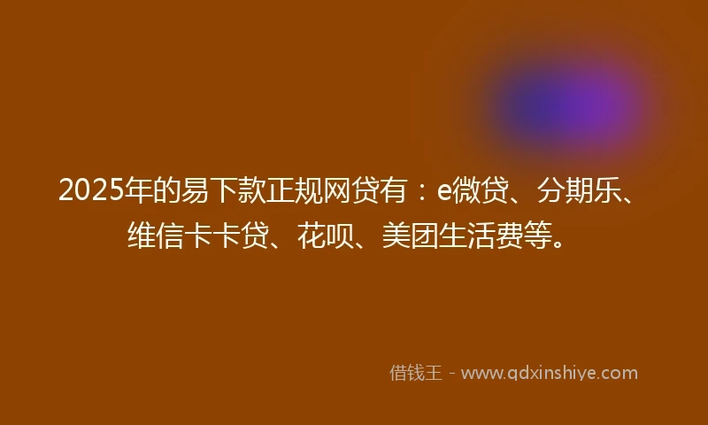 2025年的易下款正规网贷有：e微贷、分期乐、维信卡卡贷、花呗、美团生活费等。