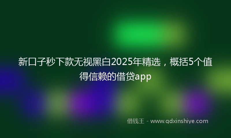 新口子秒下款无视黑白2025年精选，概括5个值得信赖的借贷app