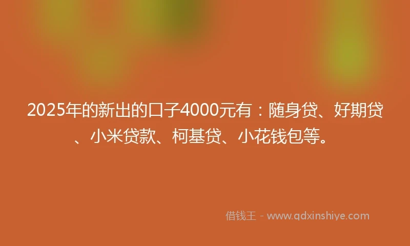 2025年的新出的口子4000元有：随身贷、好期贷、小米贷款、柯基贷、小花钱包等。