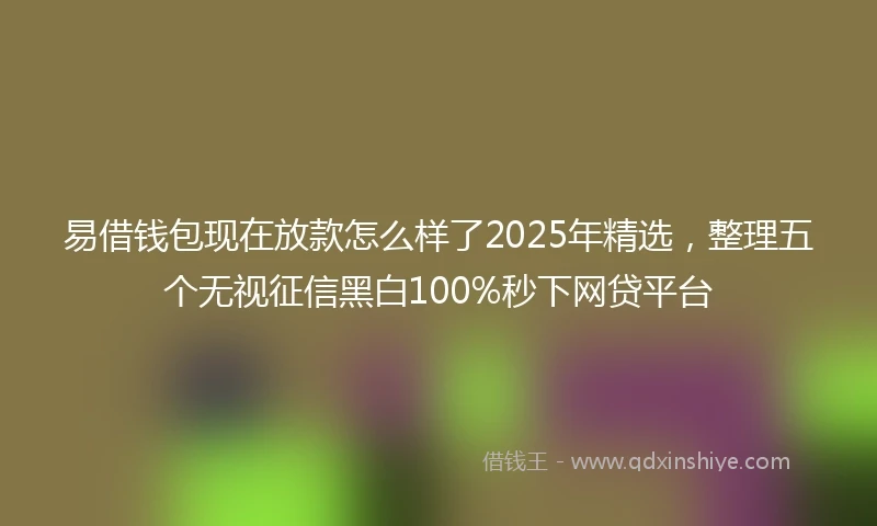 易借钱包现在放款怎么样了2025年精选，整理五个无视征信黑白100%秒下网贷平台