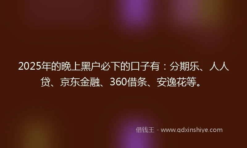2025年的晚上黑户必下的口子有：分期乐、人人贷、京东金融、360借条、安逸花等。