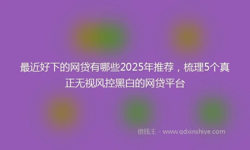 最近好下的网贷有哪些2025年推荐,梳理5个真正无视风控黑白的网贷平台