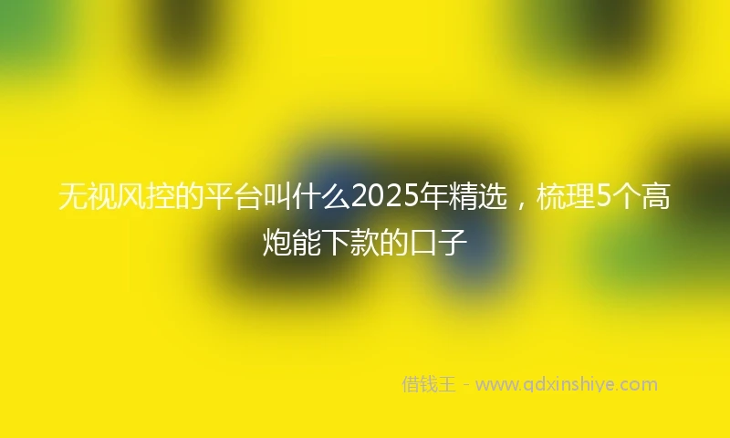 无视风控的平台叫什么2025年精选，梳理5个高炮能下款的口子