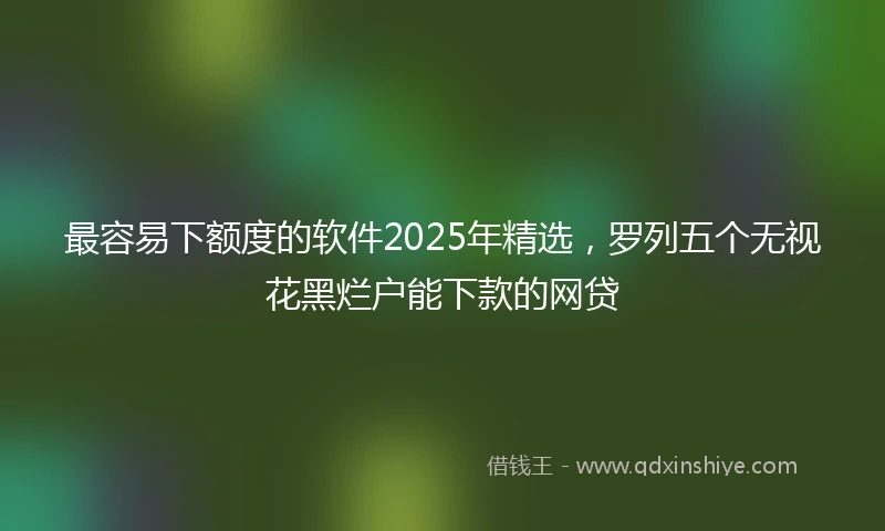 最容易下额度的软件2025年精选，罗列五个无视花黑烂户能下款的网贷