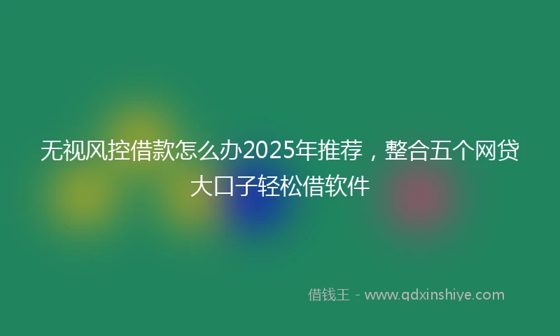 无视风控借款怎么办2025年推荐，整合五个网贷大口子轻松借软件