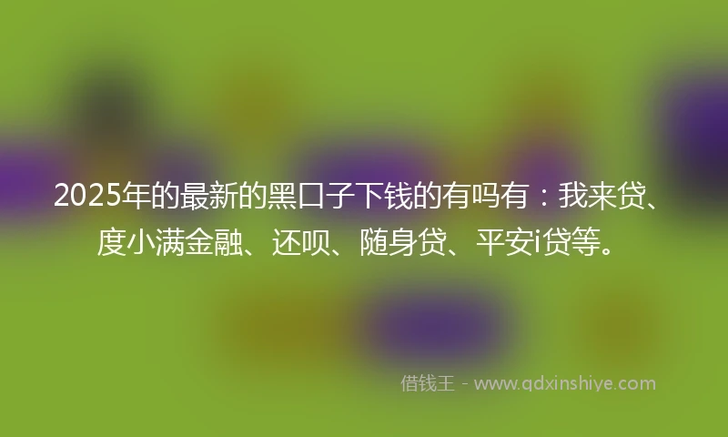 2025年的最新的黑口子下钱的有吗有：我来贷、度小满金融、还呗、随身贷、平安i贷等。