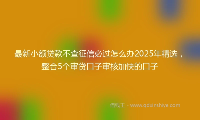 最新小额贷款不查征信必过怎么办2025年精选，整合5个审贷口子审核加快的口子