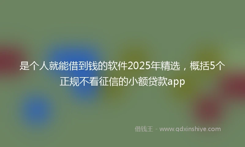 是个人就能借到钱的软件2025年精选，概括5个正规不看征信的小额贷款app