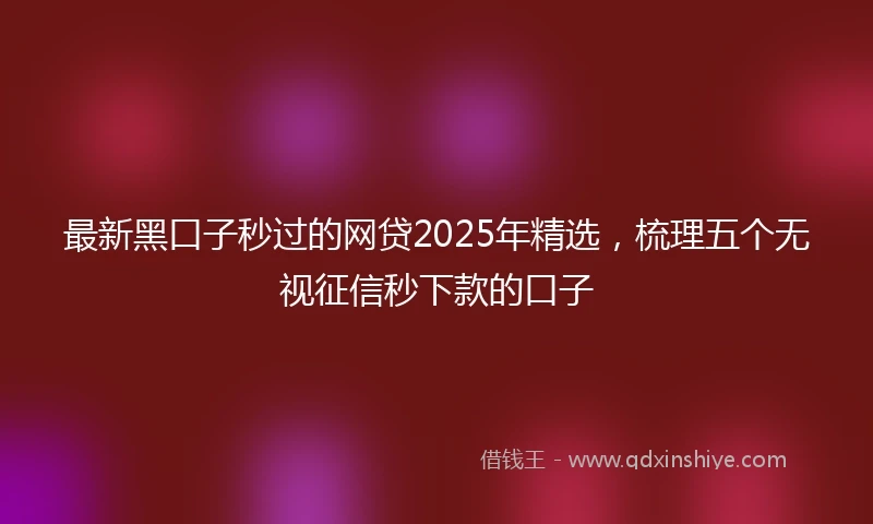 最新黑口子秒过的网贷2025年精选，梳理五个无视征信秒下款的口子