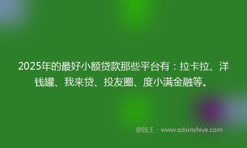 2025年的最好小额贷款那些平台有：拉卡拉、洋钱罐、我来贷、投友圈、度小满金融等。