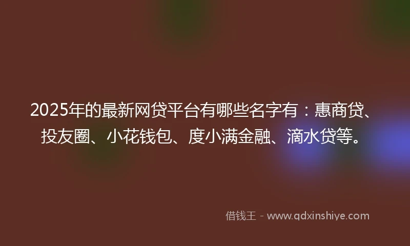 2025年的最新网贷平台有哪些名字有：惠商贷、投友圈、小花钱包、度小满金融、滴水贷等。