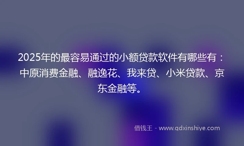 2025年的最容易通过的小额贷款软件有哪些有：中原消费金融、融逸花、我来贷、小米贷款、京东金融等。