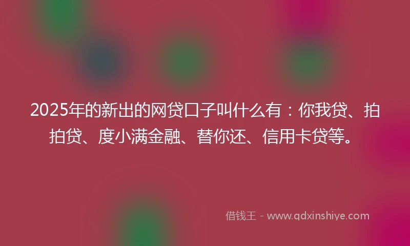 2025年的新出的网贷口子叫什么有：你我贷、拍拍贷、度小满金融、替你还、信用卡贷等。