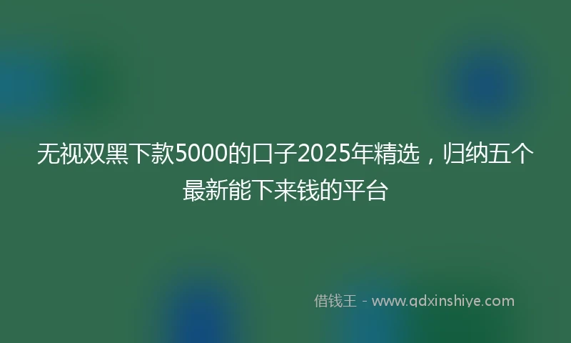 无视双黑下款5000的口子2025年精选,归纳五个最新能下来钱的平台