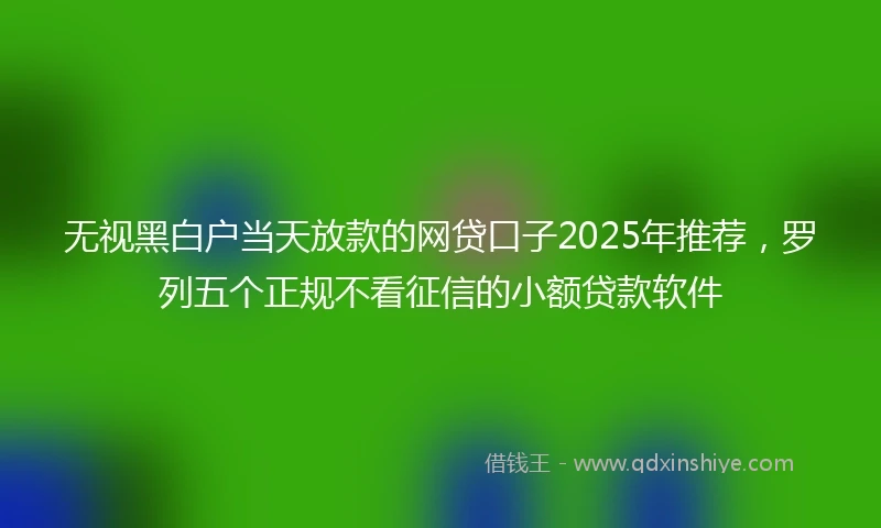 无视黑白户当天放款的网贷口子2025年推荐，罗列五个正规不看征信的小额贷款软件