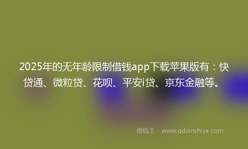2025年的无年龄限制借钱app下载苹果版有：快贷通、微粒贷、花呗、平安i贷、京东金融等。