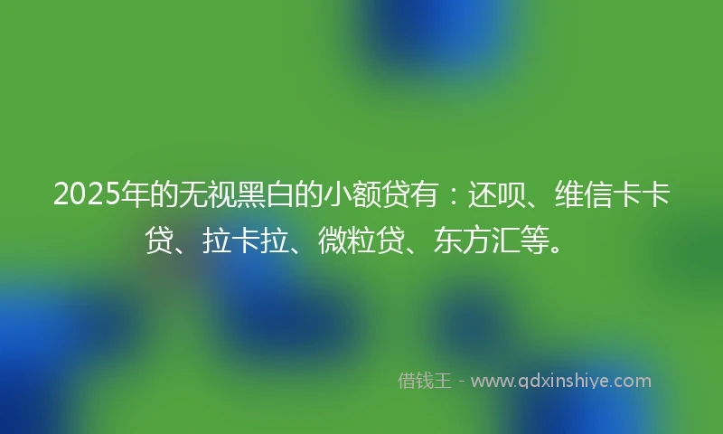 2025年的无视黑白的小额贷有：还呗、维信卡卡贷、拉卡拉、微粒贷、东方汇等。