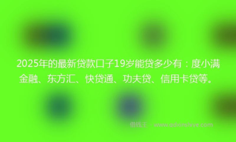 2025年的最新贷款口子19岁能贷多少有：度小满金融、东方汇、快贷通、功夫贷、信用卡贷等。