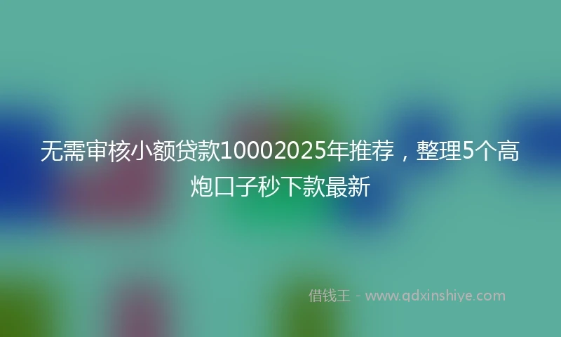 无需审核小额贷款10002025年推荐，整理5个高炮口子秒下款最新