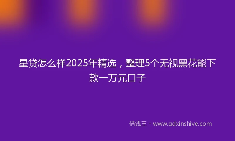 星贷怎么样2025年精选，整理5个无视黑花能下款一万元口子