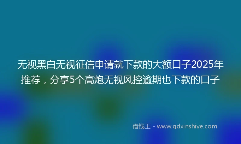 无视黑白无视征信申请就下款的大额口子2025年推荐，分享5个高炮无视风控逾期也下款的口子