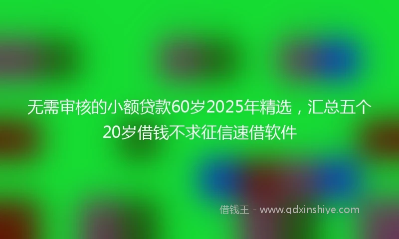 无需审核的小额贷款60岁2025年精选，汇总五个20岁借钱不求征信速借软件