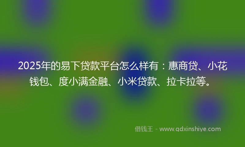 2025年的易下贷款平台怎么样有：惠商贷、小花钱包、度小满金融、小米贷款、拉卡拉等。