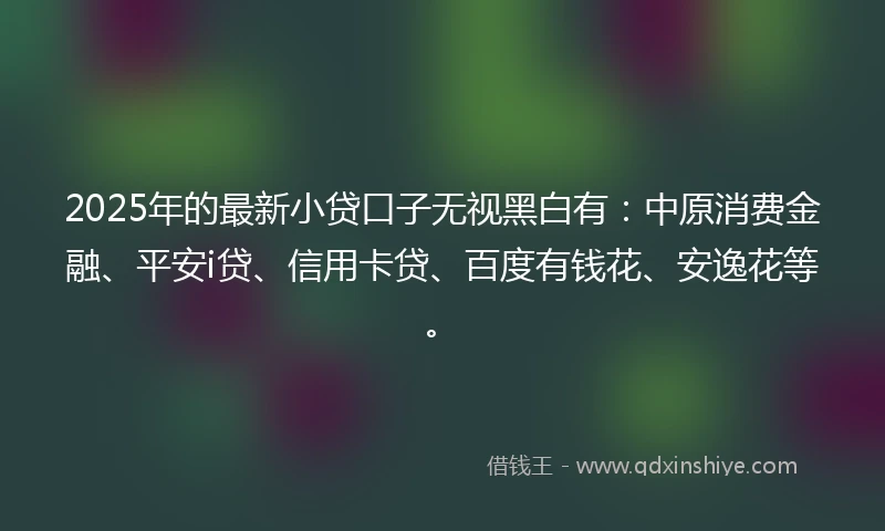 2025年的最新小贷口子无视黑白有：中原消费金融、平安i贷、信用卡贷、百度有钱花、安逸花等。