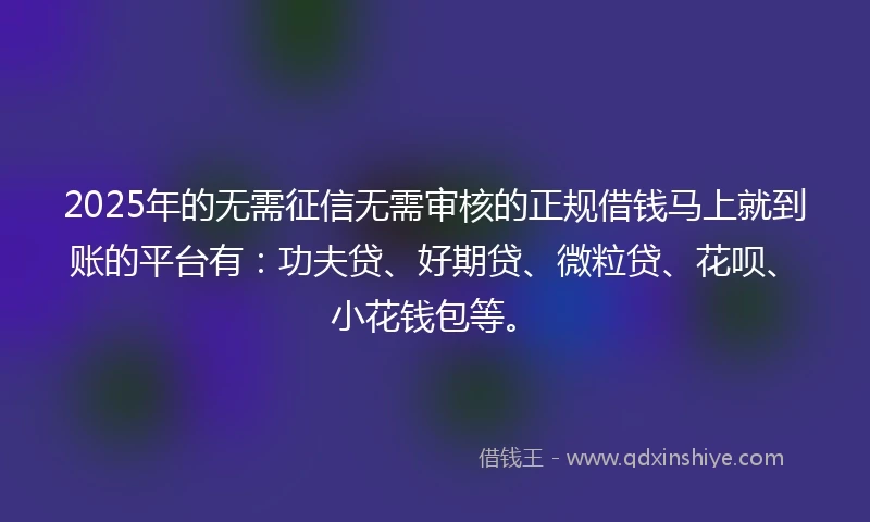 2025年的无需征信无需审核的正规借钱马上就到账的平台有：功夫贷、好期贷、微粒贷、花呗、小花钱包等。