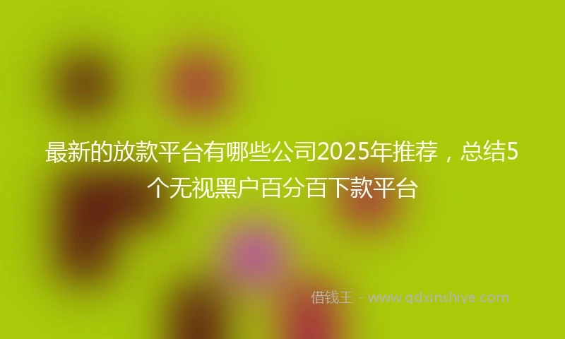 最新的放款平台有哪些公司2025年推荐,总结5个无视黑户百分百下款平台