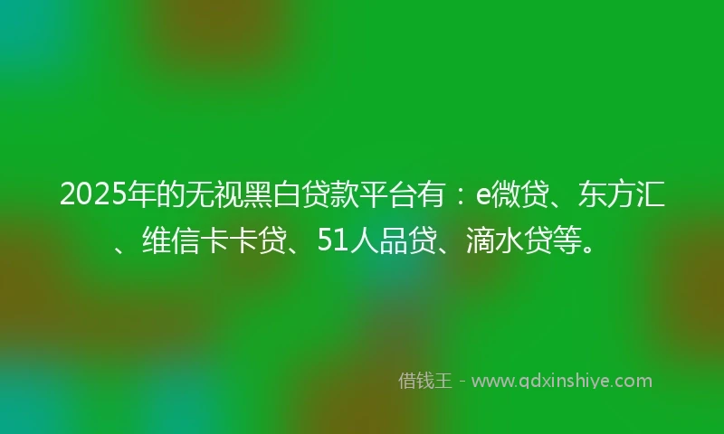 2025年的无视黑白贷款平台有：e微贷、东方汇、维信卡卡贷、51人品贷、滴水贷等。