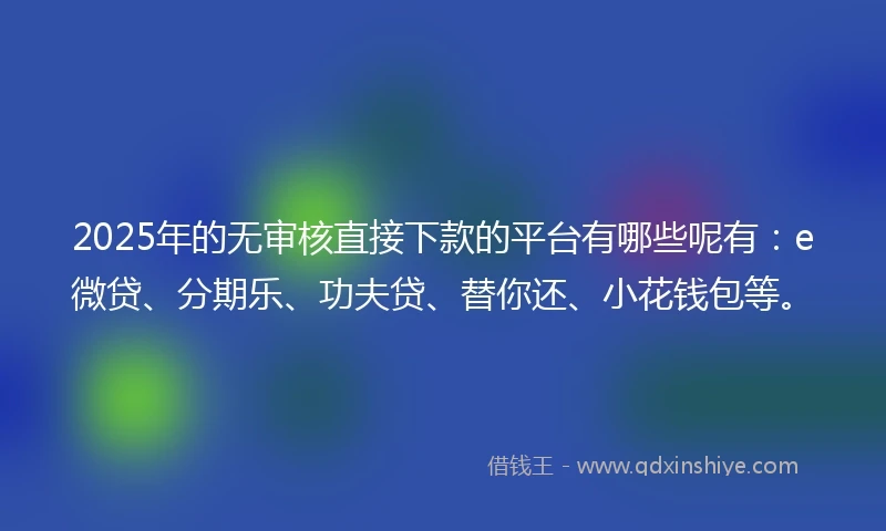 2025年的无审核直接下款的平台有哪些呢有：e微贷、分期乐、功夫贷、替你还、小花钱包等。