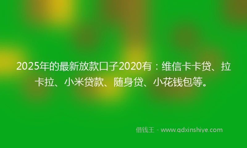 2025年的最新放款口子2020有：维信卡卡贷、拉卡拉、小米贷款、随身贷、小花钱包等。