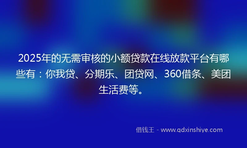 2025年的无需审核的小额贷款在线放款平台有哪些有：你我贷、分期乐、团贷网、360借条、美团生活费等。