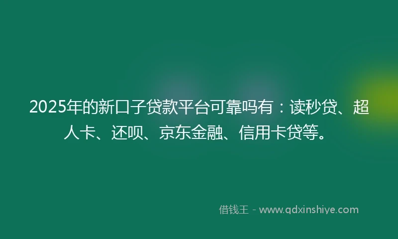 2025年的新口子贷款平台可靠吗有：读秒贷、超人卡、还呗、京东金融、信用卡贷等。