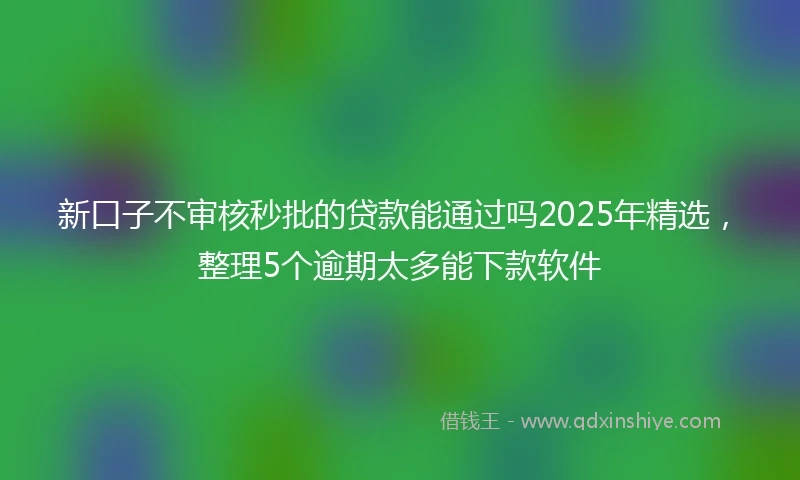 新口子不审核秒批的贷款能通过吗2025年精选，整理5个逾期太多能下款软件