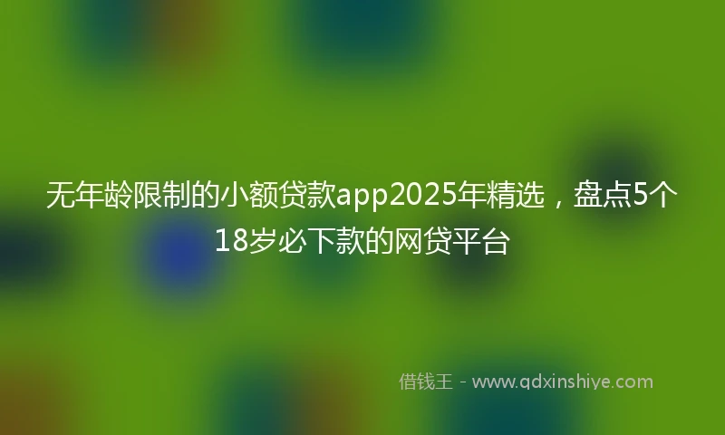 无年龄限制的小额贷款app2025年精选，盘点5个18岁必下款的网贷平台