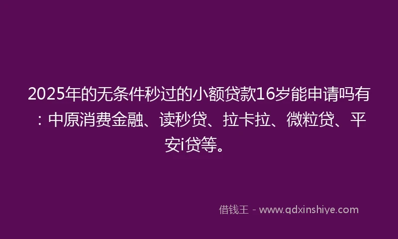2025年的无条件秒过的小额贷款16岁能申请吗有：中原消费金融、读秒贷、拉卡拉、微粒贷、平安i贷等。