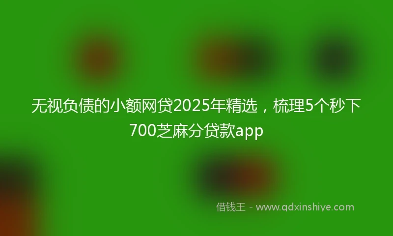 无视负债的小额网贷2025年精选，梳理5个秒下700芝麻分贷款app