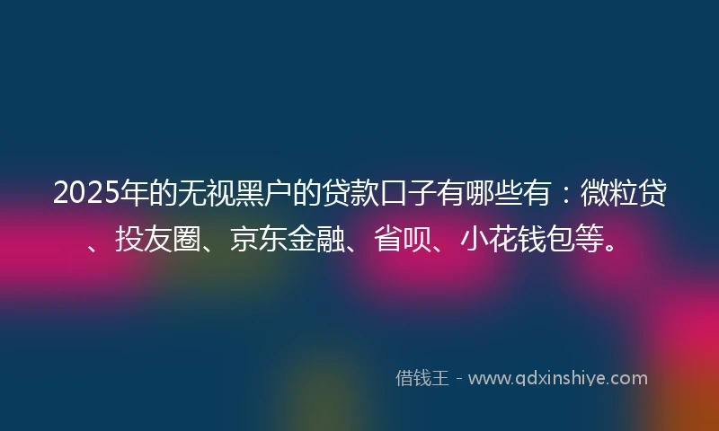 2025年的无视黑户的贷款口子有哪些有：微粒贷、投友圈、京东金融、省呗、小花钱包等。