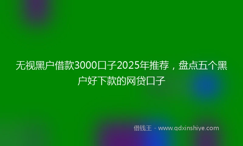 无视黑户借款3000口子2025年推荐，盘点五个黑户好下款的网贷口子
