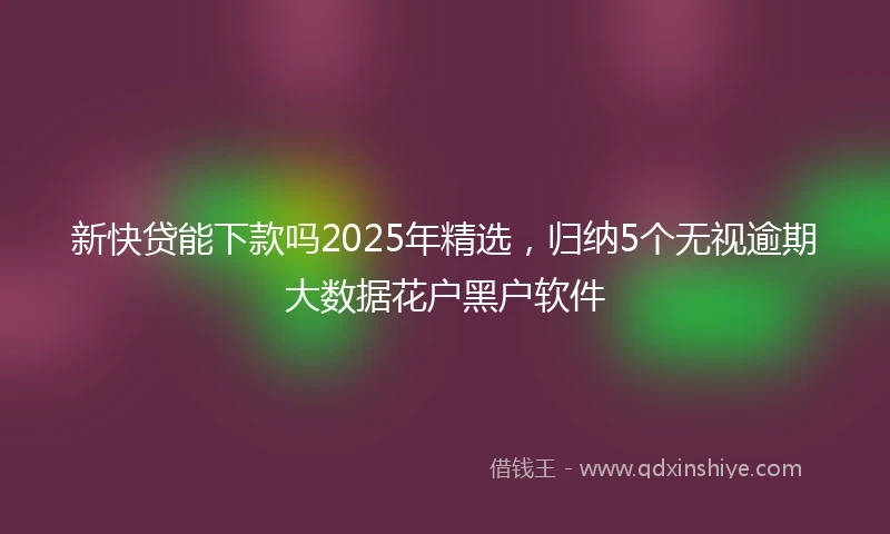 新快贷能下款吗2025年精选，归纳5个无视逾期大数据花户黑户软件