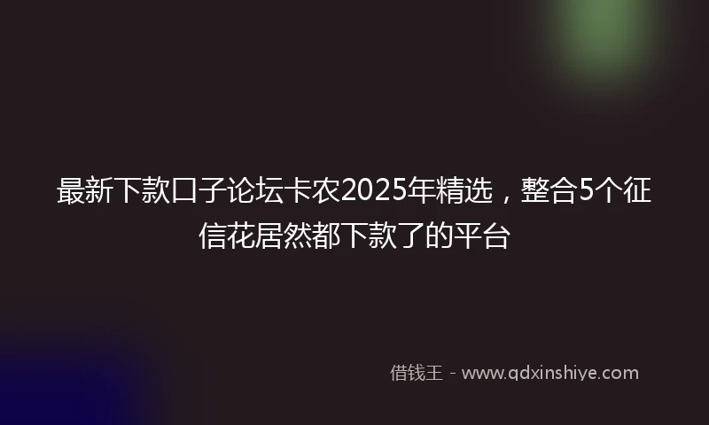 最新下款口子论坛卡农2025年精选，整合5个征信花居然都下款了的平台